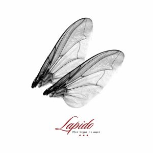 Muy lejos de aquí (CD single)